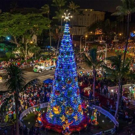 ツリー、青、ランドマーク、クリスマスツリー、クリスマス、光、照明、クリスマスの装飾、クリスマスライト、夜、