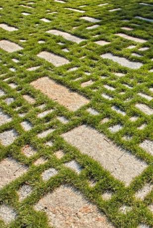 Gras, Labyrinth, Grasfamilie, Labyrinth, Pflanze, Landschaft, Bodendecker, Feld, Muster, Vogelperspektive, 
