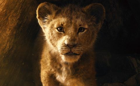 O Rei Leão em live-action, pôster da Disney