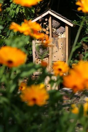 Dřevěný hmyzí dům Zahradní dekorativní bug hotel a Beruška a