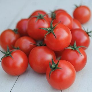 Ντομάτα " Απόλαυση Κηπουρού"