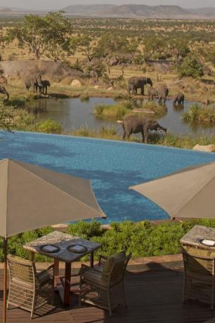 Bazén v hoteli Four Seasons Safari Lodge v Tanzánii