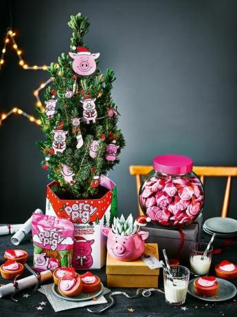 menandai hadiah babi percy spencer termasuk pohon natal mini﻿, penanam sukulen, dan toples manis