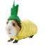 Kostum Halloween Guinea Pig PetSmart 2019