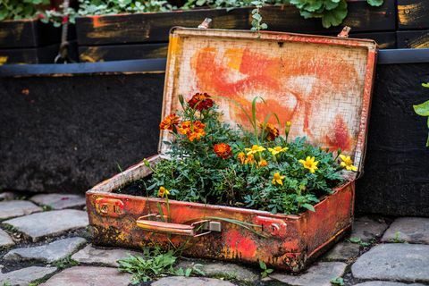 Старый чемодан с цветами