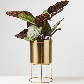Gold Iron Plant Pot & Stand Large