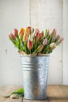 Kann dieser raffinierte Trick Ihre Tulpen wirklich aufrecht halten?