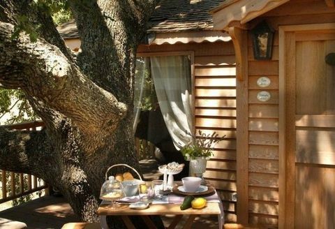 Итальянский завтрак в домике на дереве