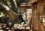 Treehouse Bed & Breakfast Chambre en Italie