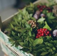 クリスマスの葉：本物の花輪と花輪をより長く新鮮に保つ方法
