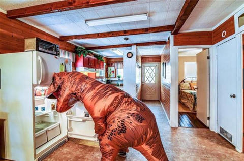 Dinosaure dans la cuisine - Dinosaure Home Listing