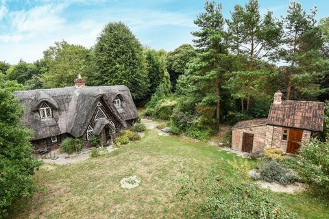 Pohádková chata - Wiltshire - zahrada - Zoopla