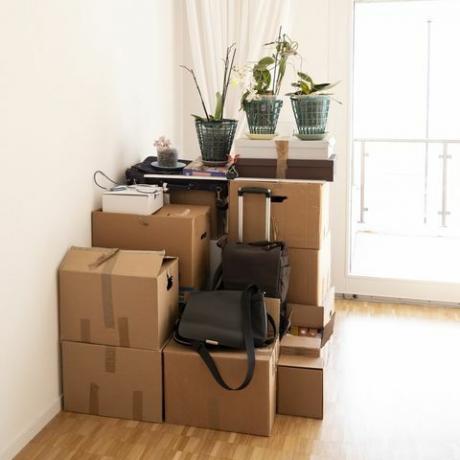 déménagement avec des boîtes en carton dans le salon, suisse