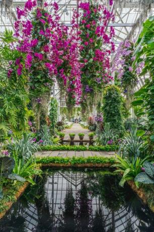 orkidéshowen. Jeff Leathams kalejdoskop bronx i New Yorks botaniska trädgård