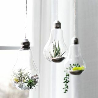 Ampoules de terrarium à suspendre