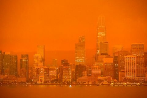 Waldbrände in San Francisco