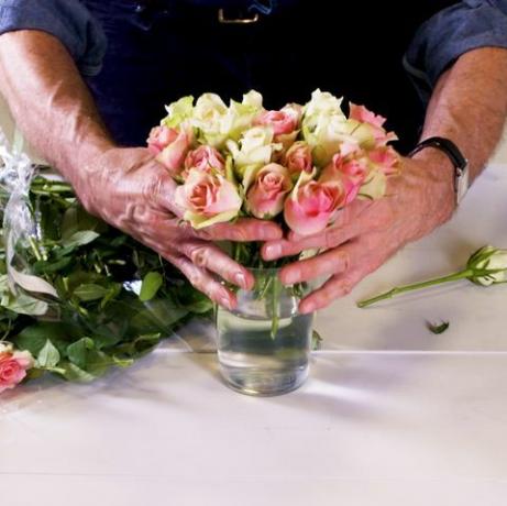 Kako skrbeti za vrtnice