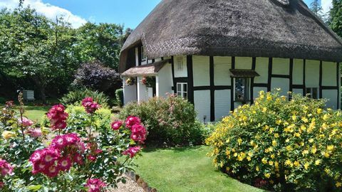 Peppercorn Cottage - Dorset - blommor - OnTheMarket.com
