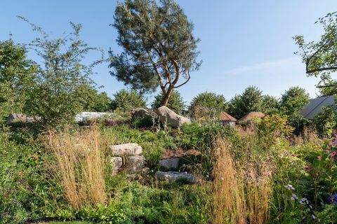 Jardín del 30 aniversario de Countryfile. Diseñado por: Ann-Marie Powell. Jardín de características. Exposición de flores del RHS Hampton Court Palace 2018