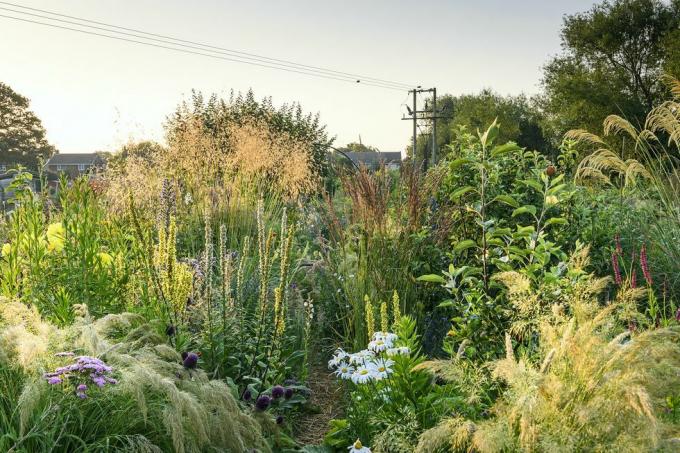 Ο κήπος allotment στο oxfordshire κερδίζει το βραβείο bbc gardeners' World Magazine Garden of the Year 2021