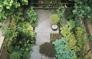 Små trädgårdsidéer för att få din trädgård att se större ut