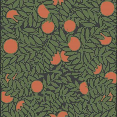 Orange Grove in Forest/Oranje Verwisselbare en verplaatsbare Wallpaper