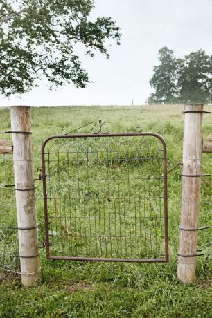 Парцел, телена ограда, желязо, пасище, ​​поле, мрежа, ограда, култура, земеделие, домашна ограда, 