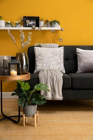 Společnost poundco's pepco home uvádí na trh novou řadu interiérových barev za pouhé 3 libry