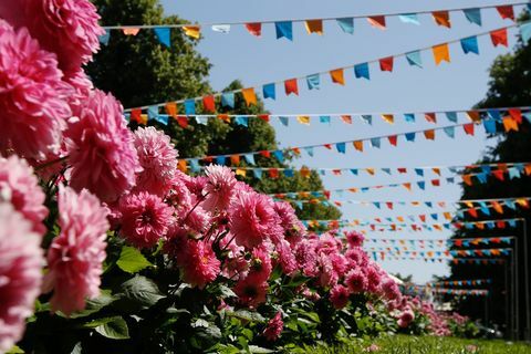 Фестиваль саду в палаці Хемптон Корт 2019