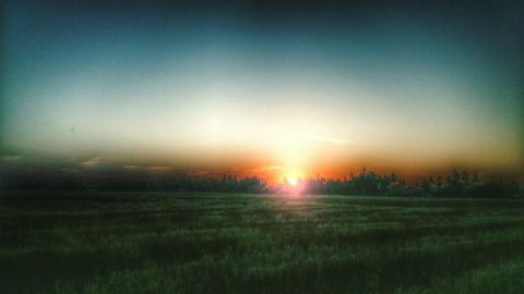 Вид на врожайне поле на заході сонця