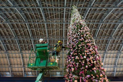 47ft albero di Natale floreale svelato alla stazione internazionale di St Pancras, Londra.