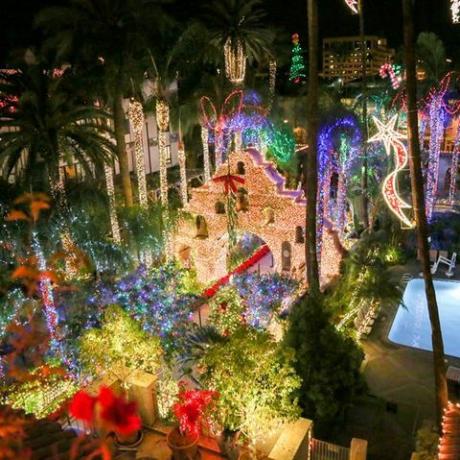 照明、ライト、マジョレルブルー、夜、木、風景照明、クリスマスライト、植物、クリスマス、イベント、 