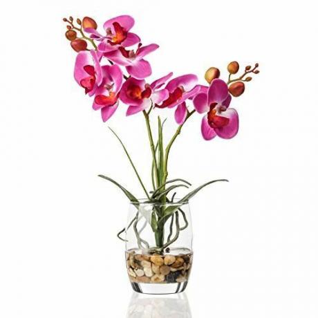 Orchidej ve skleněné váze 
