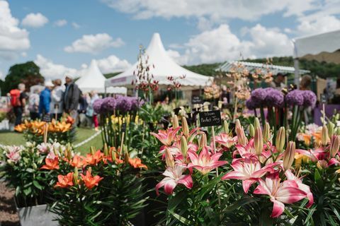 Apmeklētāji iepērkas augu ciematā RHS Chatsworth ziedu izstādē 2019.