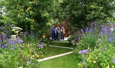 Londýn, Anglicko 4. júl celkový pohľad na spustenie kvetinovej výstavy rhs hampton court v paláci hampton court 4. júla 2016 v Londýne, Anglicko foto od stuarta c wilsongetty images