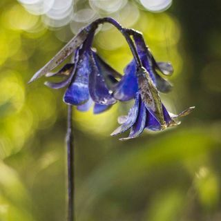 Γλυπτό Bluebell Χειροποίητο Ανακυκλωμένο Μεταλλικό Κήπο
