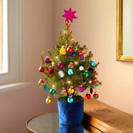 עצי חג המולד הזעירים הניתנים לשתייה של בלום אנד ווילד