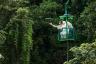Žalioji planeta: Davido Attenborough 5 dalių augalų serija per BBC