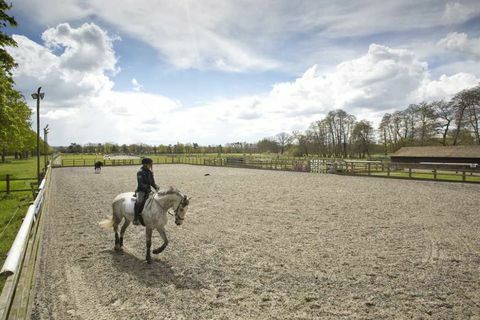 Dunsborough Park - Surrey - paard - Savills