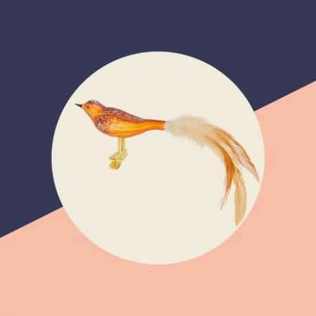 john lewis partneři, bloomsbury oranžová ptačí cetka