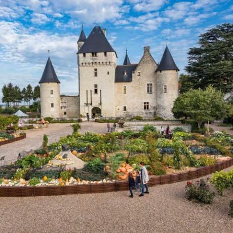 Château, slott, eiendom, bygning, landemerke, eiendom, hage, by, herskapshus, arkitektur, 