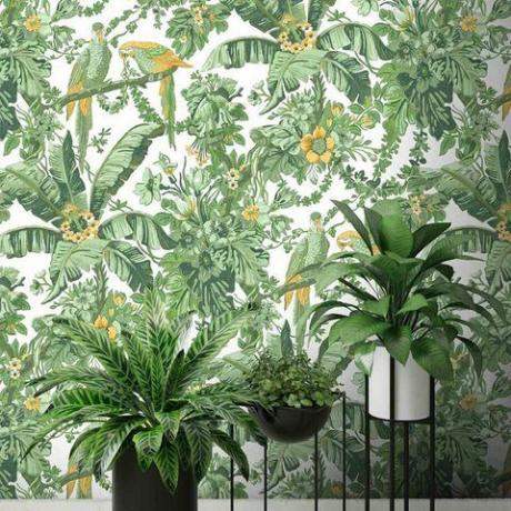 „Woodchip & Magnolia Parrot Talk Lush Green“ tapetai