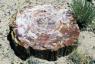 La table à manger Pierre Noire de Bernhardt a 100 millions d'années