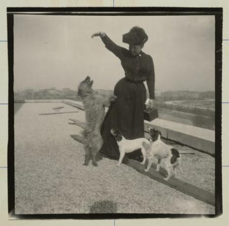 إيزابيلا ستيوارت غاردنر وثلاثة كلاب