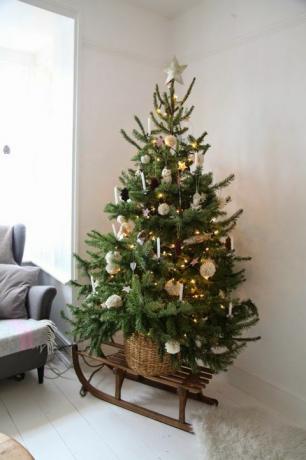 クリスマスツリー、クリスマスデコレーション、コロラドトウヒ、オレゴンパイン、ツリー、クリスマス、植物、枝、家、部屋、 