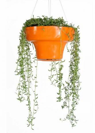 Test din grønne tommelfinger i denne sæson med en potteplante. Denne aluminiumsplanter fungerer indendørs eller udendørs. Hang Pot i Orange, $ 125. < a href = " http://shophorne.com/content/hang-pot-orange" target = " _blank"> shophorne.com </a>