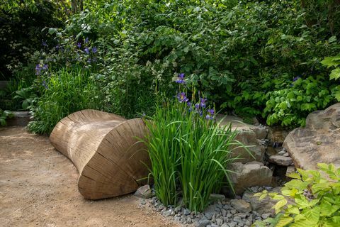 тхе плаце2бе обезбеђивање сутрашње баште коју је дизајнирао Џејми Батерворт рхс изложба цвећа у Челзију 2022.