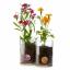 UncommonGoods의 탄생월 꽃 재배 키트는 정원사를 위한 최고의 선물입니다.