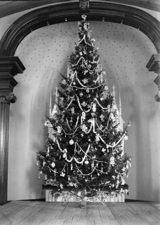 Božićno drvce, bijelo, drvo, božićni ukras, božić, crno-bijelo, arhitektura, drvenasta biljka, jednobojna fotografija, grana, 