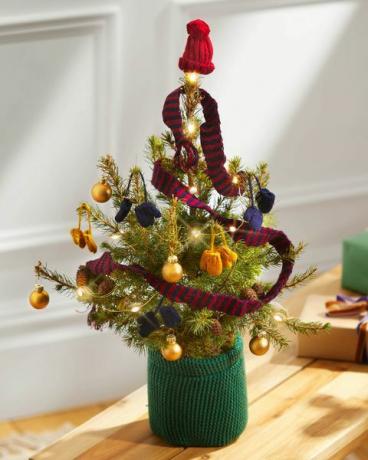 cvatu i divlje božićno drvce